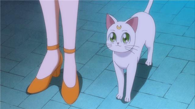 Cô nàng mèo trắng xinh xắn Artemis nhưng lười biếng và hay quên là thần hộ vệ của thủy thủ Sao Kim Minako trong Thủy Thủ Mặt Trăng. 