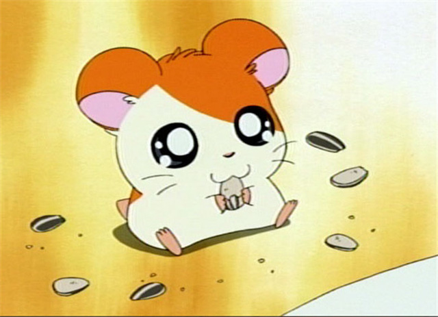  Hamtoro là một con chuột đồng vô cùng dũng cảm, với đôi mắt ngây thơ cùng vẻ ngoài hết sức dễ thương. 