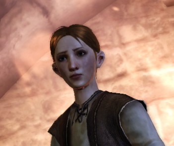 Dragon Age Origin: Gieo nhân nào, gặt quả nấy - Ảnh 2. Dragon Age Origin: Gieo nhân nào, gặt quả nấy - Ảnh 2.