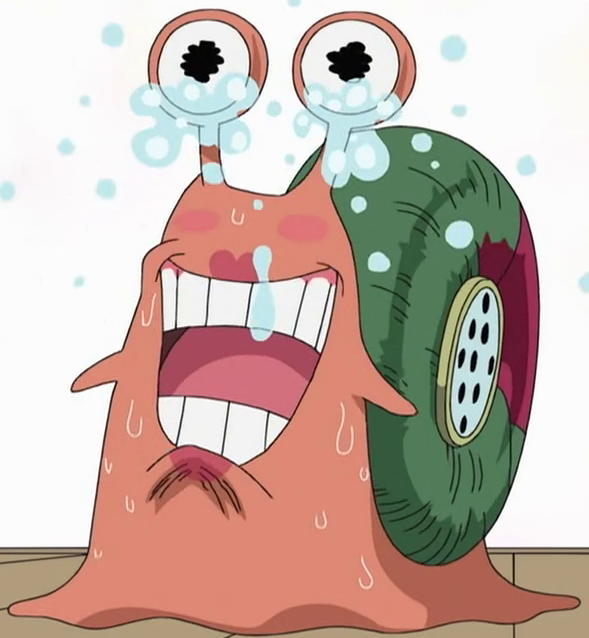 Bạn biết gì về Den Den Mushi, những chiếc điện thoại ốc sên đáng yêu trong One Piece? (Phần 1) - Ảnh 2.