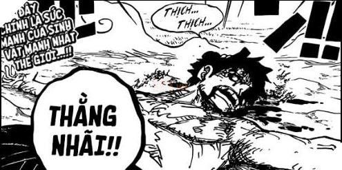 One Piece: Nếu bị Kaido xử tử, liệu Shanks có xuất hiện để cứu Luffy? - Ảnh 2.