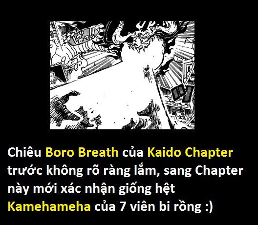 Tứ Hoàng Kaido sở hữu Haki Bá Vương! Thánh soi phát hiện lỗi của tác giả trong One Piece 923 - Ảnh 10.