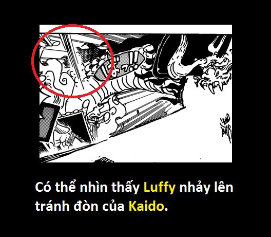 Tứ Hoàng Kaido sở hữu Haki Bá Vương! Thánh soi phát hiện lỗi của tác giả trong One Piece 923 - Ảnh 11.