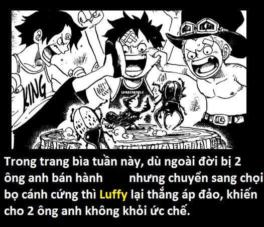 Tứ Hoàng Kaido sở hữu Haki Bá Vương! Thánh soi phát hiện lỗi của tác giả trong One Piece 923 - Ảnh 2.