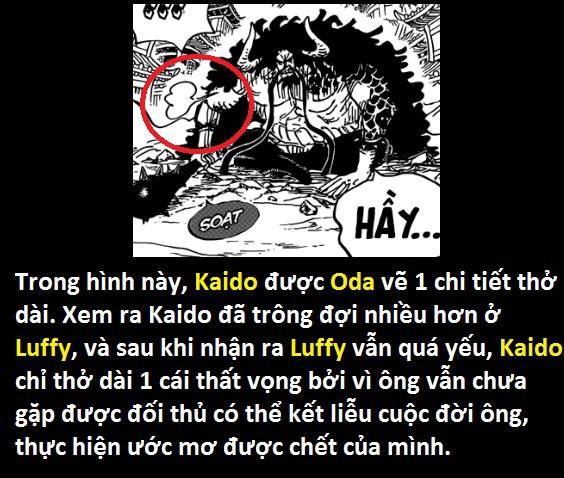 Tứ Hoàng Kaido sở hữu Haki Bá Vương! Thánh soi phát hiện lỗi của tác giả trong One Piece 923 - Ảnh 21.