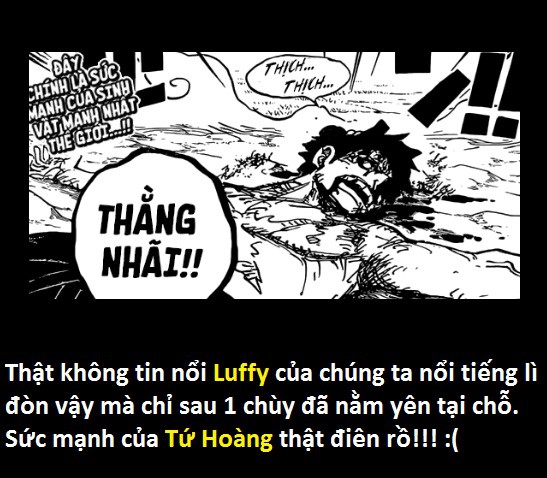 Tứ Hoàng Kaido sở hữu Haki Bá Vương! Thánh soi phát hiện lỗi của tác giả trong One Piece 923 - Ảnh 25.