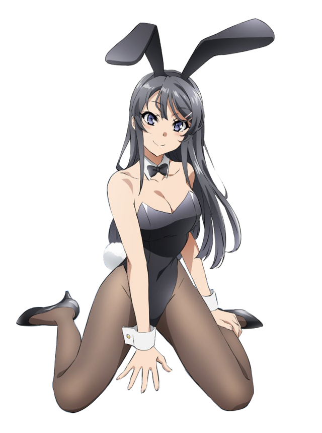 10 cô nàng tai thỏ được nhiều người yêu thích và crush nhất trong thế giới anime - Ảnh 3.