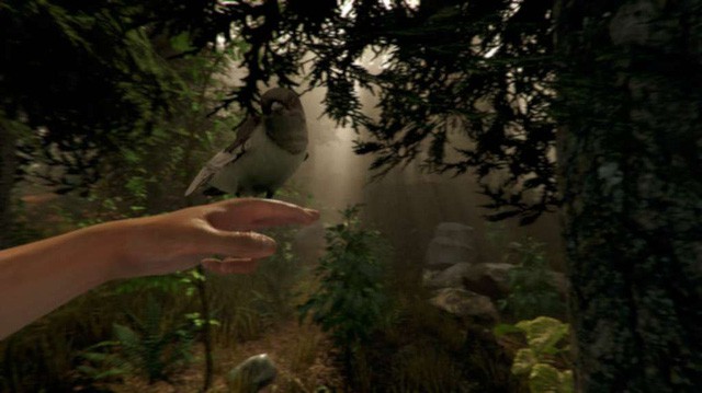 Game sinh tồn nổi tiếng The Forest cuối cùng cũng sắp ra bản chính thức, kết thúc 4 năm thử nghiệm
