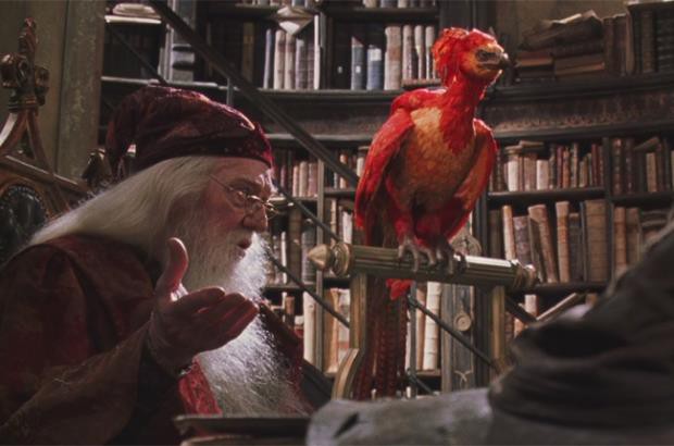  Cụ Dumbledore thực chất là người đồng tính 