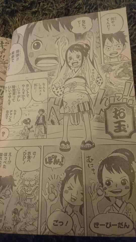 One Piece 911: Hé lộ hình ảnh mới nhất về O-Tama, cô gái bí ẩn có mối quan hệ với Hoả Quyền Ace - Ảnh 2.