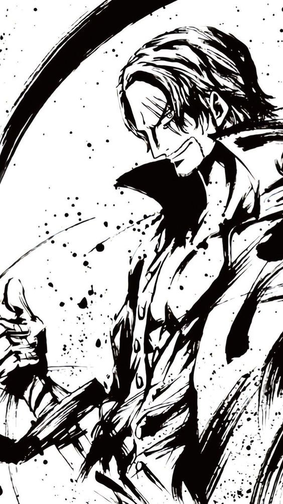 Bộ ảnh đen trắng về các nhân vật trong One Piece mang đậm chất nghệ thuật khiến fan mê mẩn - Ảnh 1.