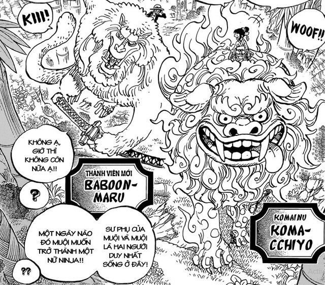 Spoiler One Piece 913 Luffy Va Zoro Chỉ Co 19 Cơ Hội Sống Sot Tại Wano