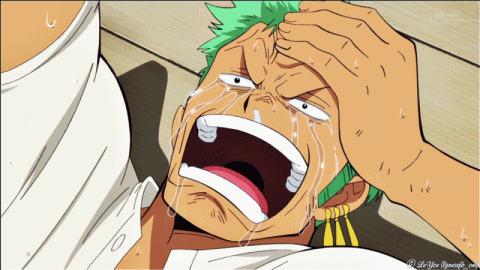 8 khoảnh khắc “bao ngầu” của Roronoa Zoro trong One Piece - Ảnh 7.
