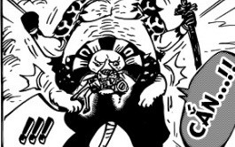 One Piece 917 Góc soi mói: Tụt cảm xúc với hình ảnh tướng quân xinh đẹp của Kaido hé lộ nụ cười duyên dáng - Ảnh 10.