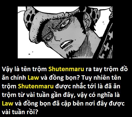 Góc soi mói One Piece 919: Hé lộ sức mạnh của Tướng quân Orochi - Zoro lại đi lạc? - Ảnh 18.