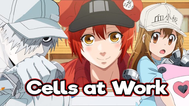 Bộ ảnh Cosplay chàng Bạch Cầu trong anime đình đám Cells at Work khiến các fan nữ muốn rụng trứng - Ảnh 1.