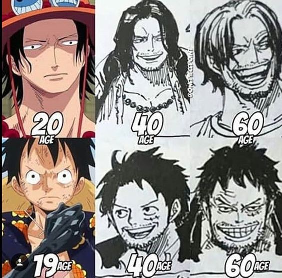 One Piece: Thời gian không tha một ai dù có là Vua Hải Tặc, loạt fanart Luffy phiên bản bô lão sẽ chứng minh điều này - Ảnh 1.