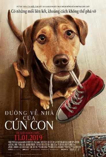 Tổng hợp những thú vui đáng yêu của nàng cún Bella trong A Dog’s Way Home - Ảnh 1.