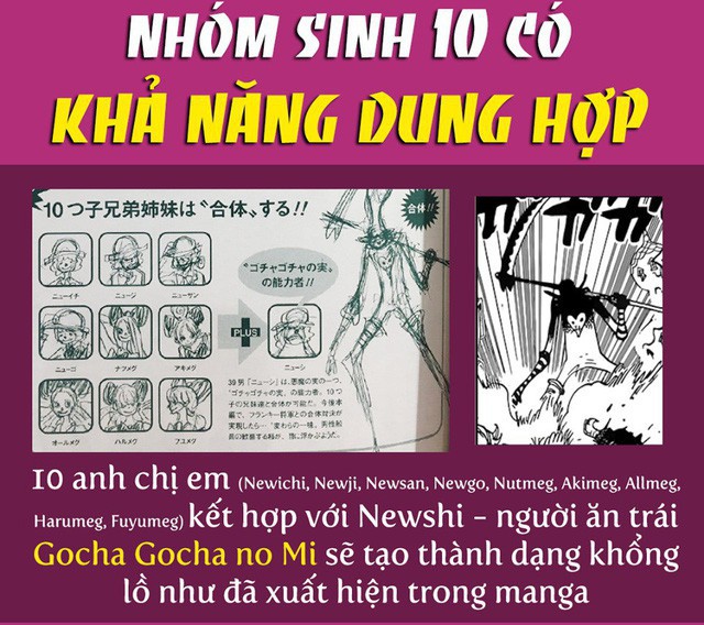 One Piece: Ngắm trọn ảnh dung mạo từ mẹ đến con của gia đình Charlotte do Big Mom đứng đầu - Ảnh 6.