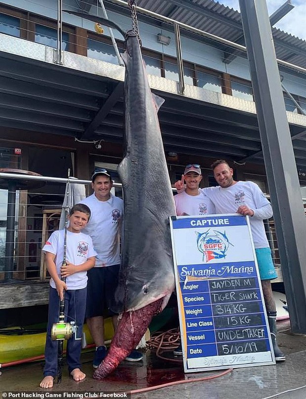  Cậu bé 8 tuổi bất ngờ câu được cá mập hổ nặng 314 kg, dự đoán phá cả kỷ lục thế giới cách đây 22 năm - Ảnh 1.