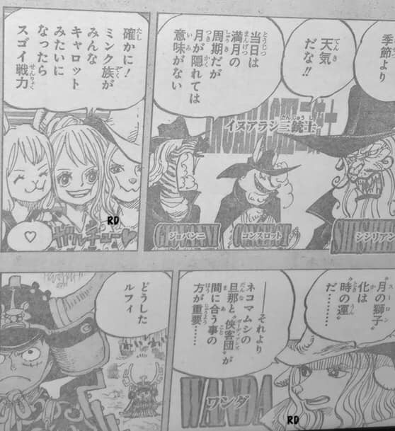 Spoil One Piece 959: Hé lộ nguyên nhân băng Mũ Rơm và quân phản loạn không xuất hiện tại điểm hẹn - Ảnh 5.