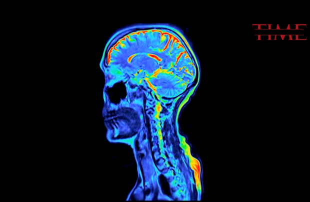 Càng hoạt động não bộ nhiều con người càng chết sớm, ít dùng não lại sống lâu - Ảnh 2.