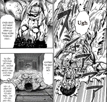 One Punch Man chương 121: Superalloy Darkshine so tài cùng Garou, Tiểu Bá Vương thử sức siêu quái vật Ác Thủy - Ảnh 2.