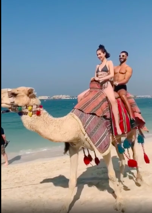 Ngọc Trinh mặc bikini gợi cảm cưỡi lạc đà tại Dubai - Ảnh 3.