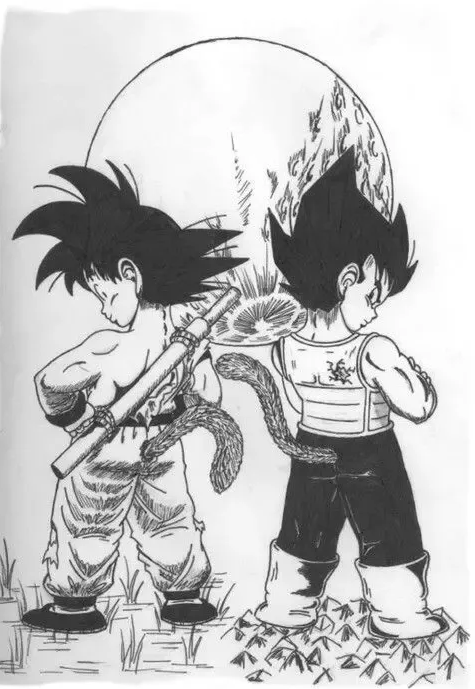 Dragon Ball: Sự khác nhau của Goku và Vegeta là ở đâu? - Ảnh 1.