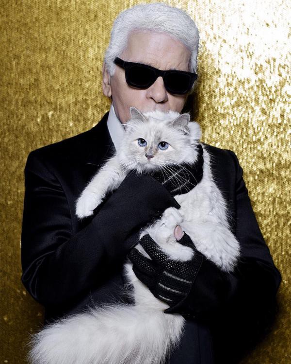 Mèo cưng của Karl Lagerfeld sẽ kế thừa khối tài sản 4.600 tỷ đồng, trở thành mèo tỷ phú của thế giới? - Ảnh 4.