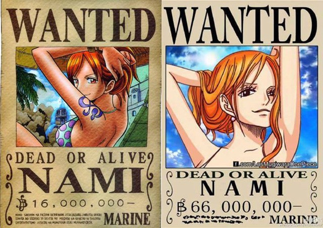 One Piece: Hé lộ số tiền truy nã của băng Mũ Rơm khi ở Việt Nam, chỉ cần tóm được Luffy là đủ ăn chơi cả đời - Ảnh 5.