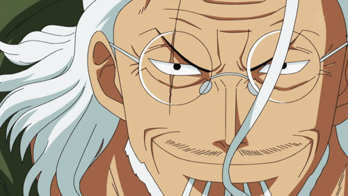 One Piece: 9 kiếm sĩ có thể mạnh hơn Roronoa Zoro, trong đó có 2 samurai mà Kaido muốn thu nạp - Ảnh 6.