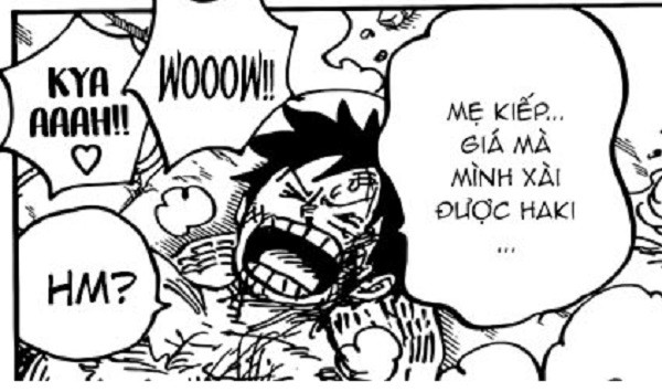 One Piece: Đá biển chính là bằng chứng cho thấy năng lực Haki mạnh hơn trái ác quỷ? - Ảnh 6.