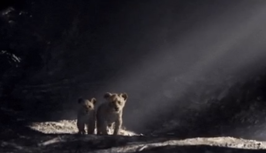 The Lion King tung trailer chính thức: Vua Sư Tử Simba lộ diện với phong cách hoàn toàn mới - Ảnh 3.