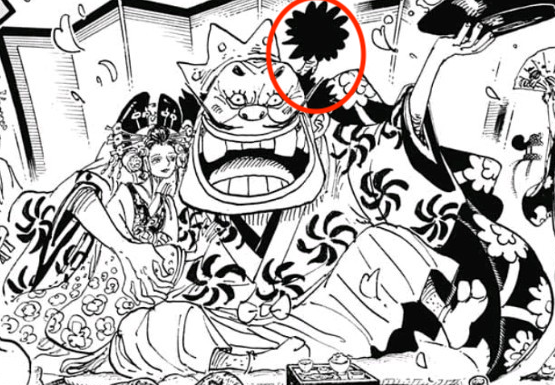 One Piece: Danh tính thật sự của Tonoyasu- ông lão mang khuôn mặt cười bí ẩn? - Ảnh 3.