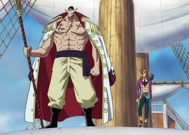 One Piece: Phượng Hoàng Lửa Marco rất mạnh nhưng sẽ không gia nhập băng Mũ Rơm vì lý do này? - Ảnh 1.