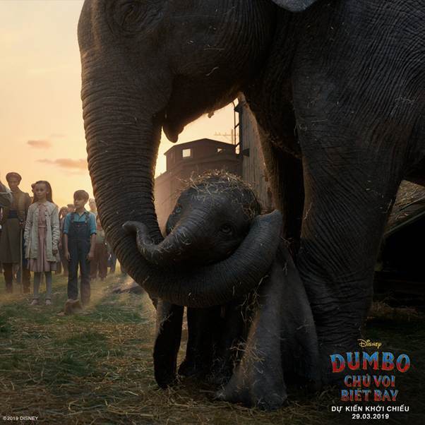 4 bài học cuộc sống đắt giá khiến Dumbo là một trong những bộ phim làm lại quan trọng nhất của Disney - Ảnh 6.