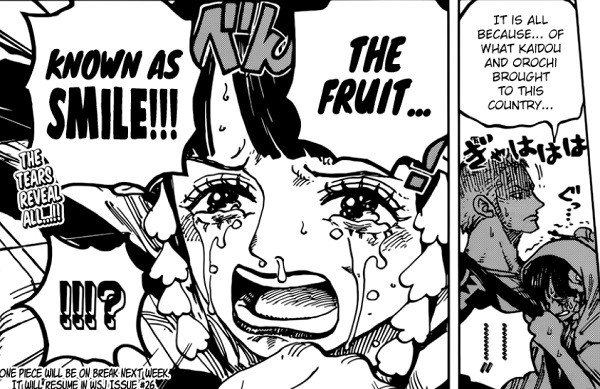 One Piece: Ẩn ý thực sự về trái SMILE tới người dân thị trấn Ebisu đằng sau câu nói của Komurasaki với Zoro là gì? - Ảnh 1.