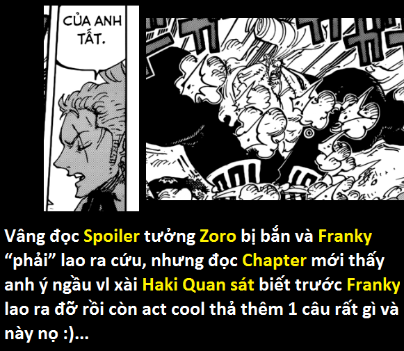 One Piece: Zoro đã thành thục haki quan sát tới mức nhìn thấy được tương lai? - Ảnh 12.
