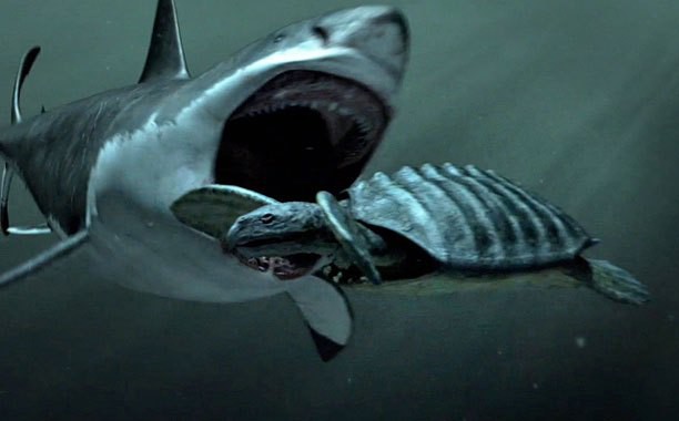 Giả thuyết về sự tồn tại về Megalodon, siêu cá mập có thật hay chỉ là cú lừa của truyền thông? - Ảnh 1.