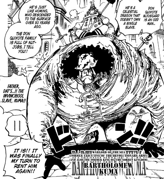One Piece: Kuma bị bắt làm nô lệ tại Mary Geoise vì nguyên nhân rất cảm động... liên quan tới Luffy và băng Mũ Rơm - Ảnh 2.
