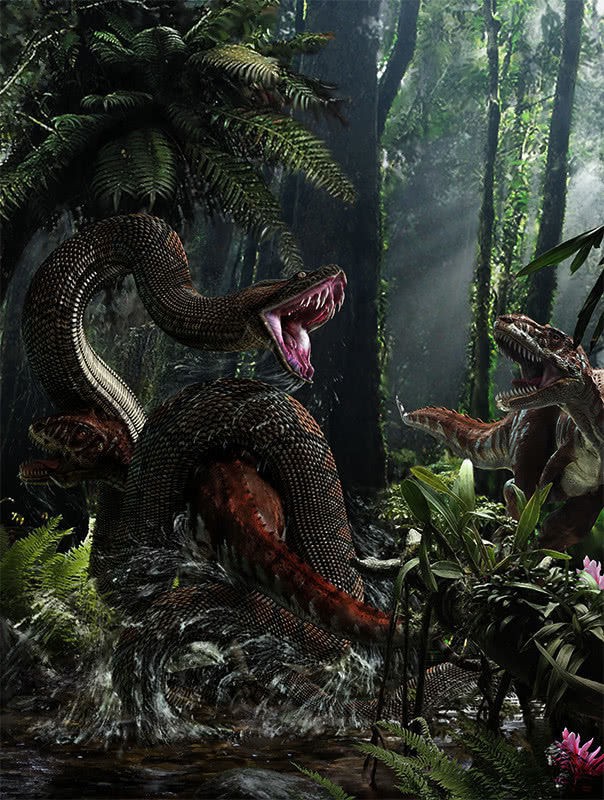 Trăn khổng lồ Titanoboa: Con quái vật có thể nuốt chửng cả khủng long - Ảnh 2.