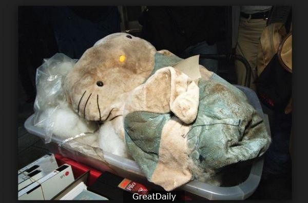 Thủ tiêu xác bằng thú nhồi bông Hello Kitty - kỳ án khó quên nhất của Hong Kong 1999 - Ảnh 6.