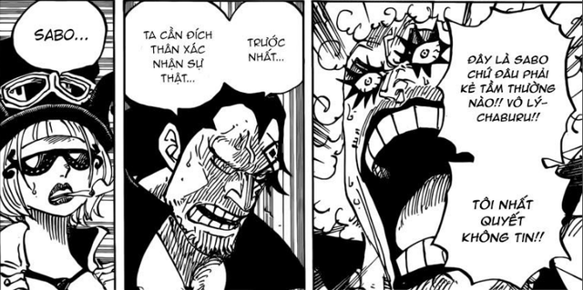 One Piece: Cái chết của Sabo là một mũi tên trúng vài cái đích của Chính phủ thế giới? - Ảnh 5.