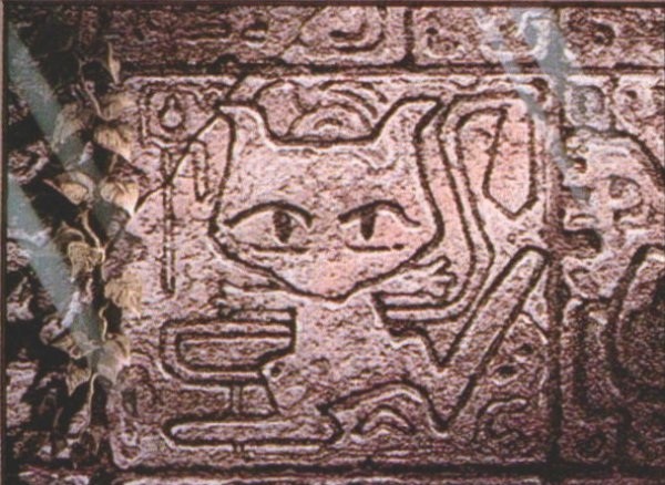 Mewtwo: Thứ ác tính kinh hoàng là vỏ bọc hoàn hảo, vỗ về 1 quá khứ đau thương - Ảnh 2. Mewtwo: Thứ ác tính kinh hoàng là vỏ bọc hoàn hảo, vỗ về 1 quá khứ đau thương - Ảnh 2.