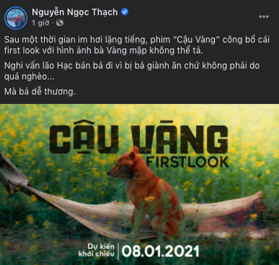 Cậu Vàng tung first look giới thiệu sinh vật lạ: Vẫn là chó Nhật nhưng lông đỏ, hàng siêu hiếm? - Ảnh 10.