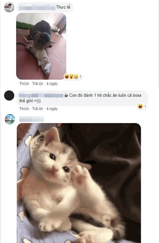 Khoe Pet siêu cấp SSSS phong cách “xàm”, chàng trai không những không bị “gạch đá” mà còn được khen… dễ thương - Ảnh 8.
