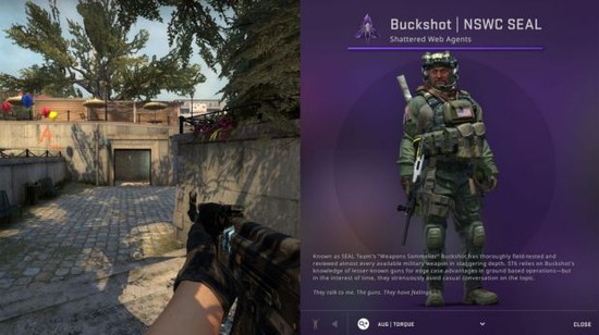CS:GO cập nhật thêm skin nhân vật có khả năng “ẩn thân chi thuật” - Ảnh 1.
