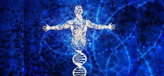 Đâu chỉ gây bệnh, có hàng trăm nghìn tỷ virus đang sống thiện lành trong cơ thể chúng ta - Ảnh 4.