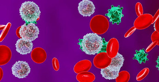 Tìm hiểu về Virus – Những thực thể “sống lỗi” nhất trên Trái Đất - Ảnh 3.